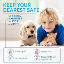 Load image into Gallery viewer, Trazon Humane Mouse Traps Catch and Release That Work - Mouse Traps No Kill - Live Mouse Traps - Reusable Mouse Traps for House,Garage,Outside,Small Mice,Multiple Mice - 2 Pack